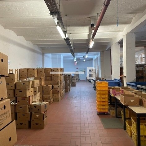 Innenansicht_2_EG_Halle